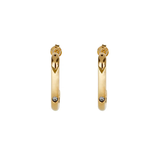 Earrigs