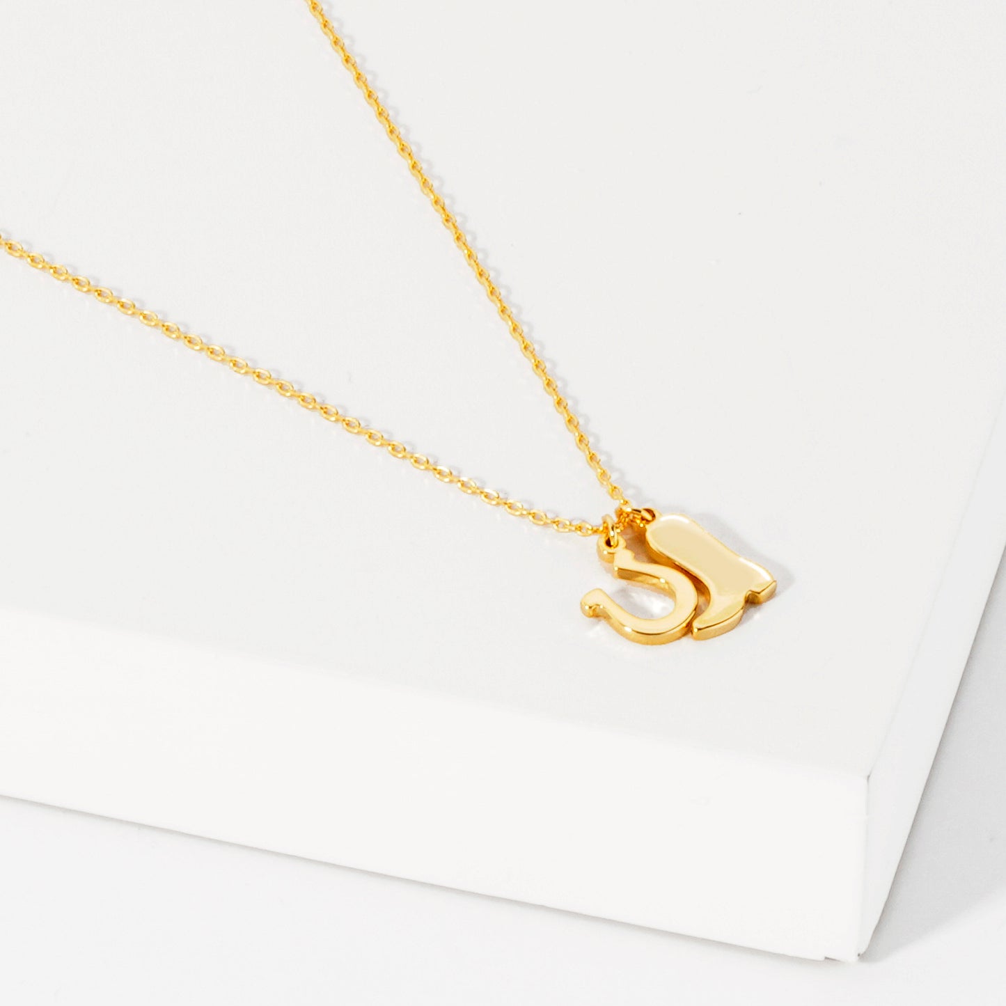 Western Boot & Horseshoe